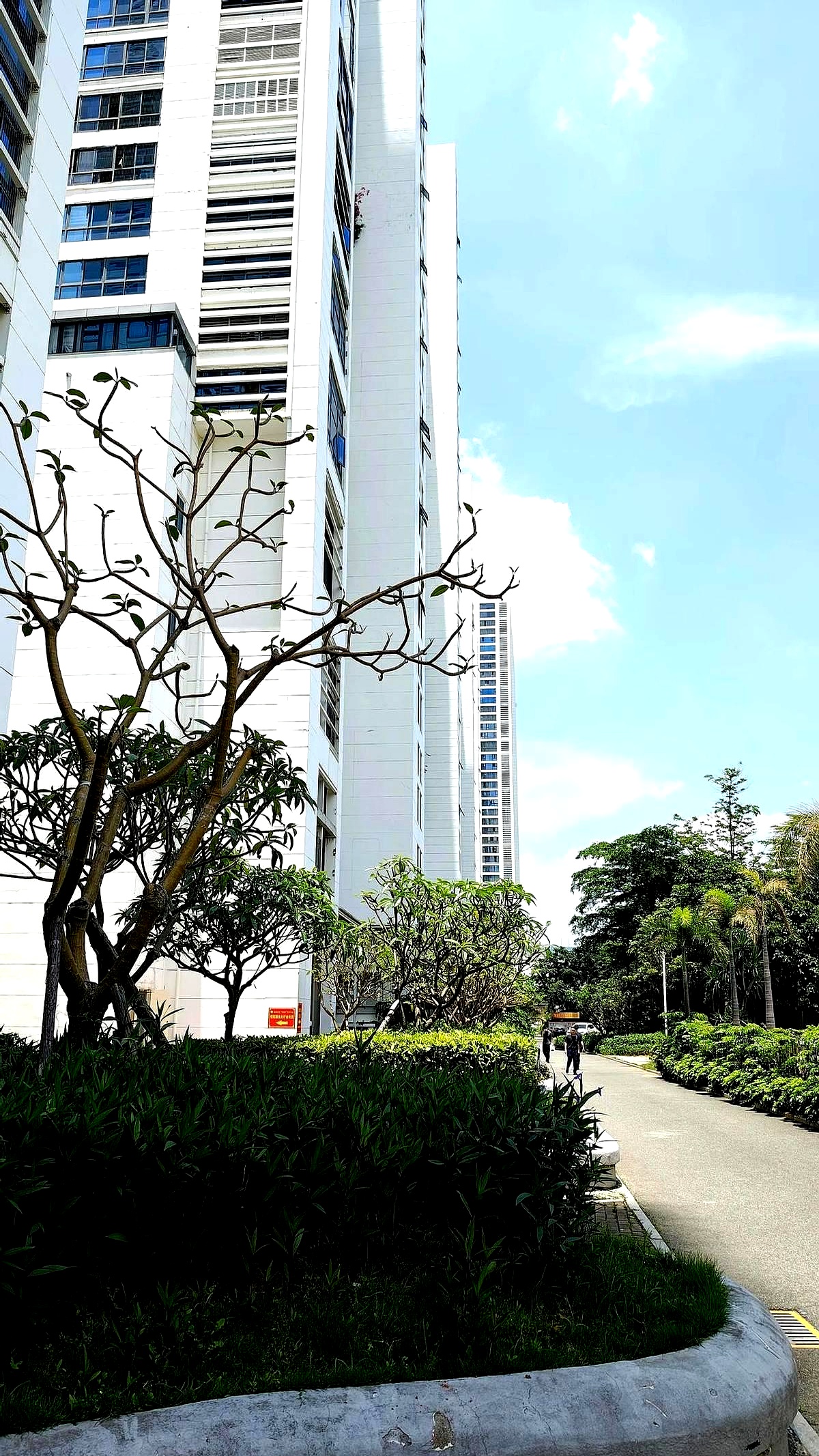 就业市场有三大变化:首先,国企不再通过关系招聘