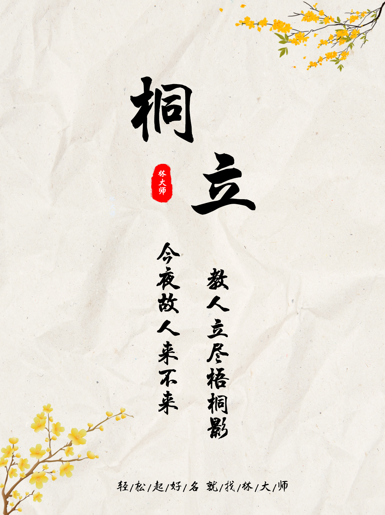 桐字最忌属相