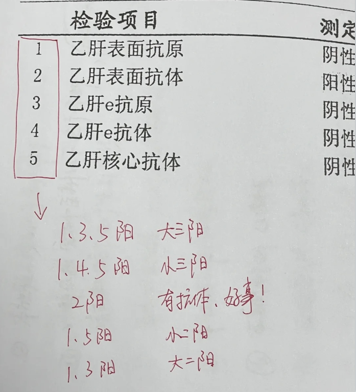 乙肝病毒表面抗原阳性图片