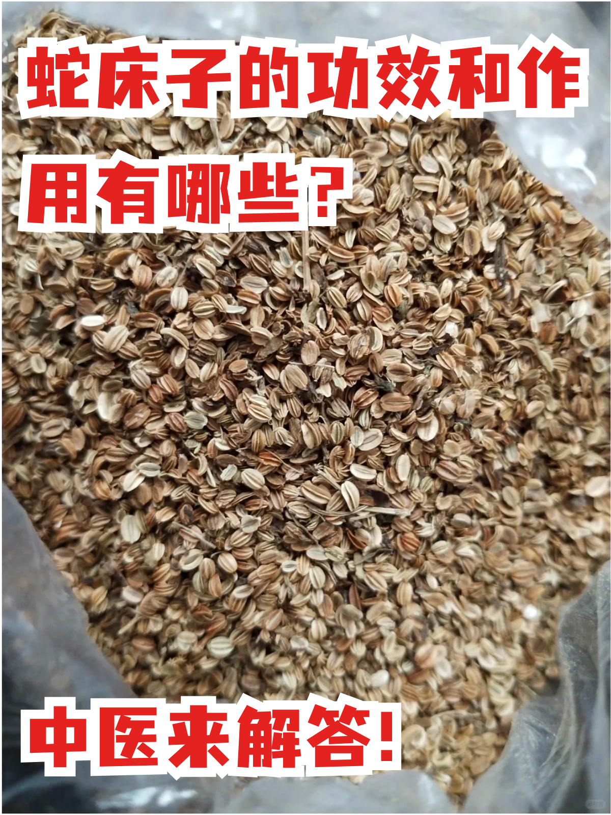 蛇床子性味辛,苦,温,归肾经,蛇床子蛇床子的功效与作用蛇床子中药图片