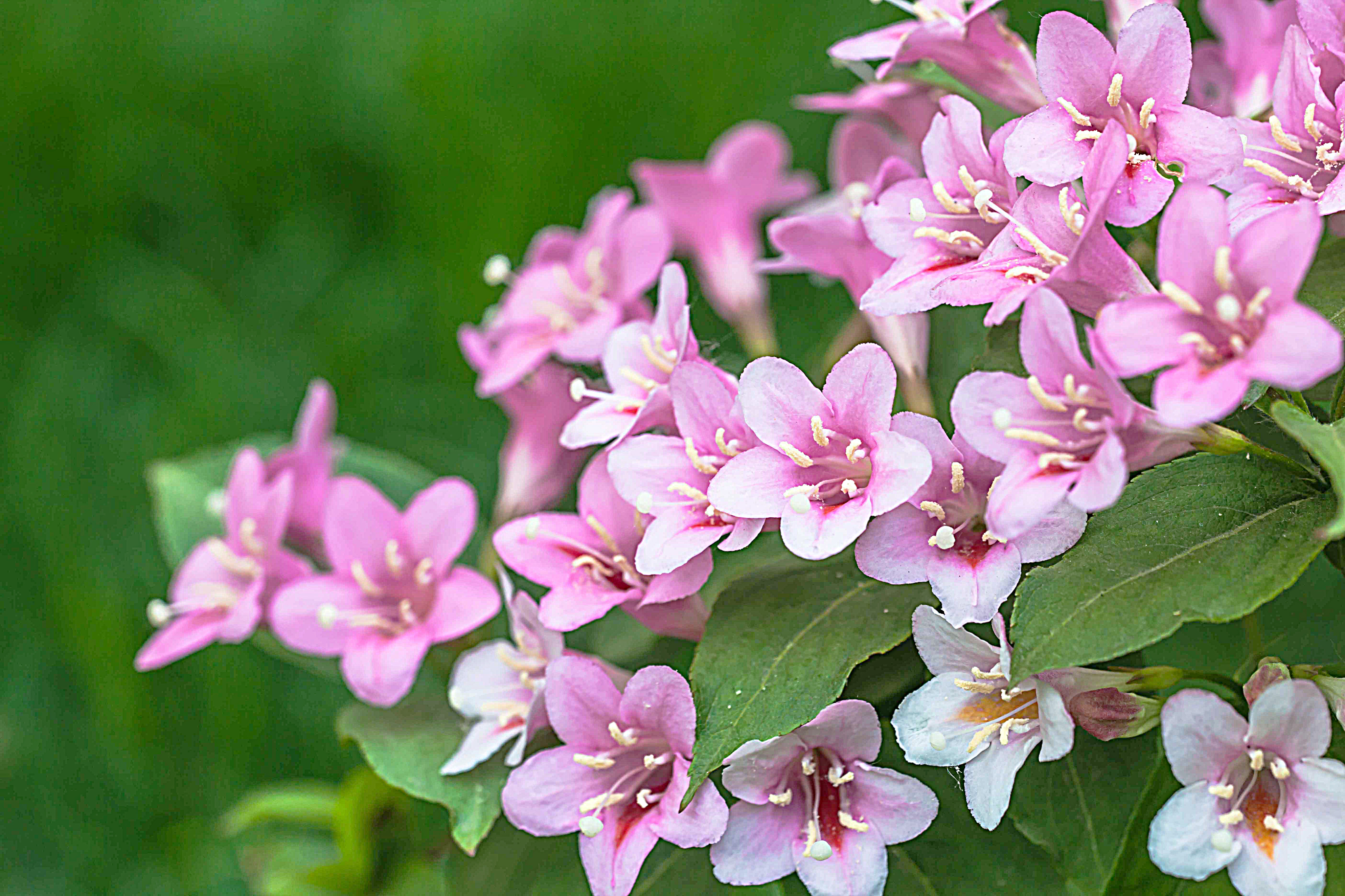 "  对此,深以为然.  这个世界上,从来就没有什么公平可言.