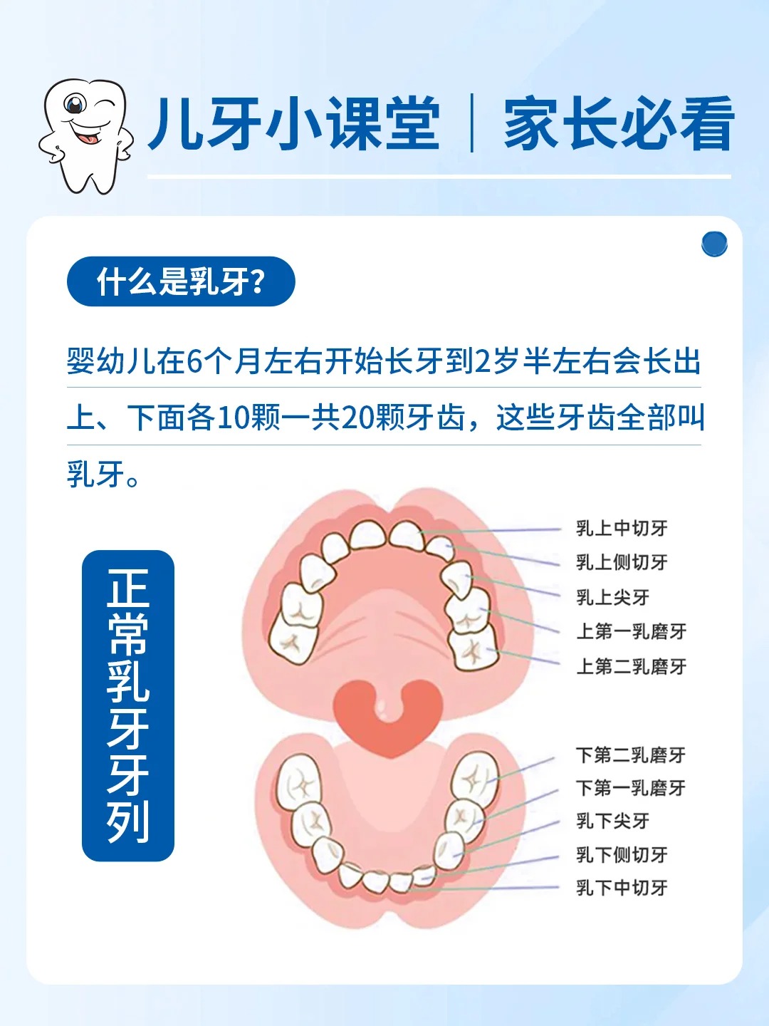 在孩子成长的旅程中,乳牙扮演着重要的角色
