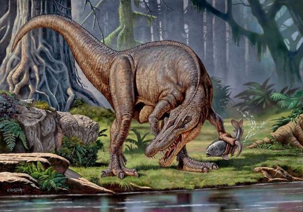 沃克氏重爪龙 baryonyx walkeri