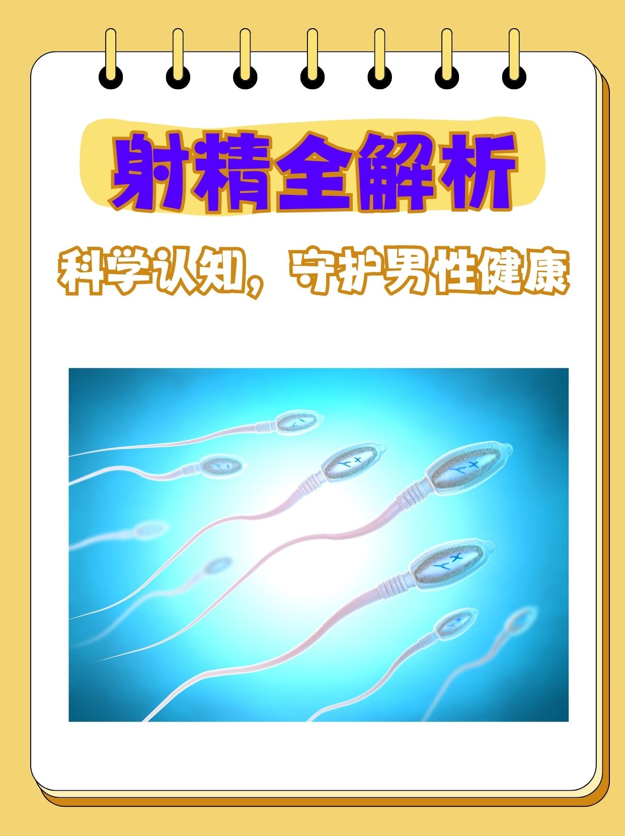 为什么精子自己流出来