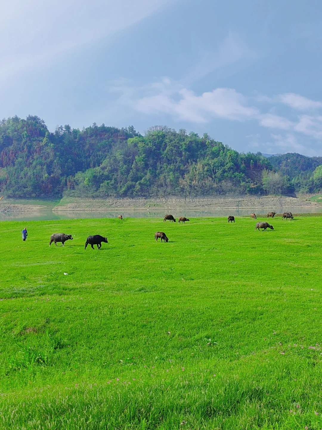 来湖南这个避世草原吧 湖南新化【烟田洲大草原】 #跟着弗兰人玩湖南