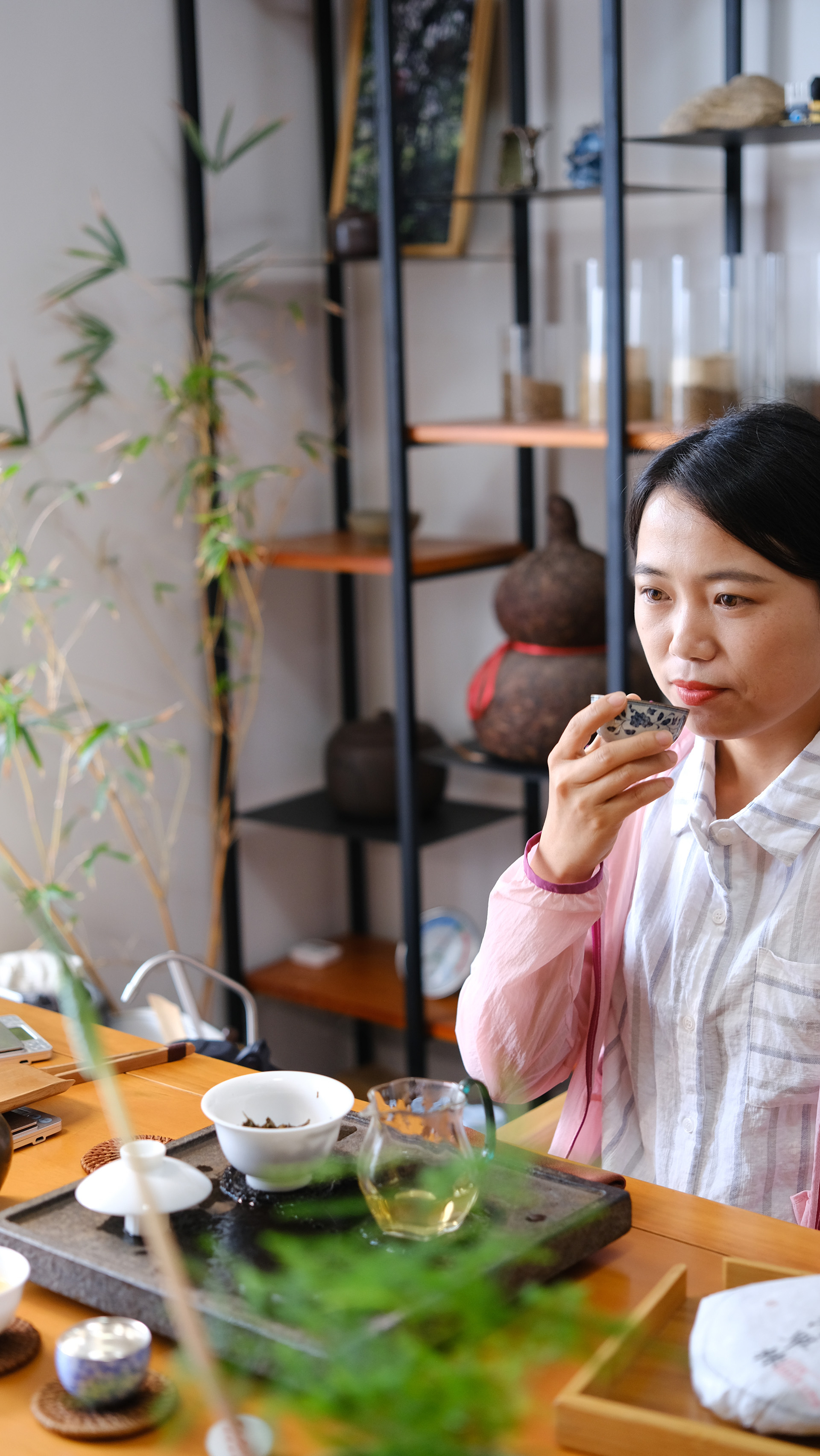 真正去过茶山的茶友就知道,单株的产量非常稀少