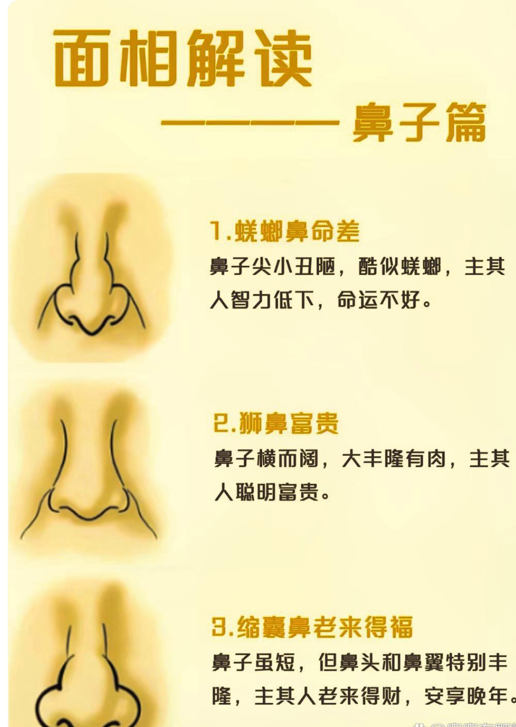 面相解读:鼻相各异,蝶螂鼻命差,狮鼻富贵,缩囊鼻老来福