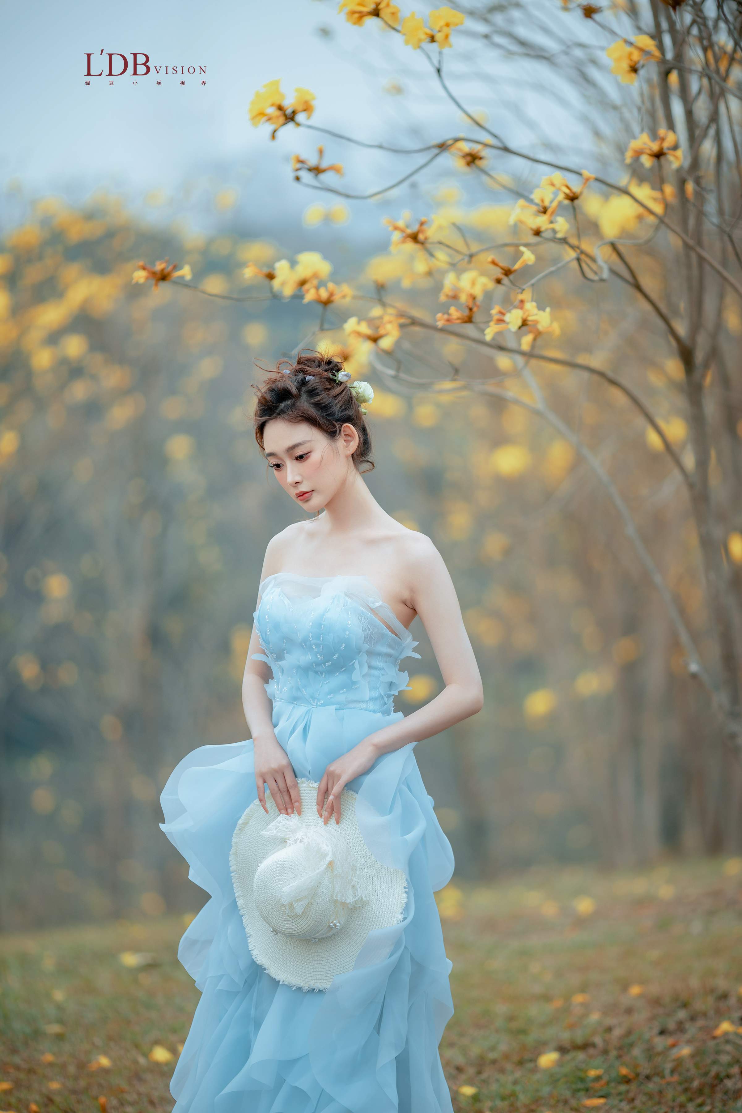 ɼFlutter03 ֤鵽