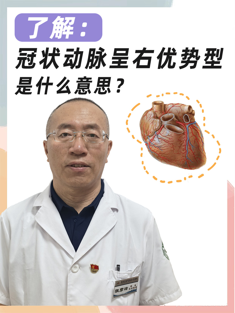 了解:冠状动脉呈右优势型是什么意思?