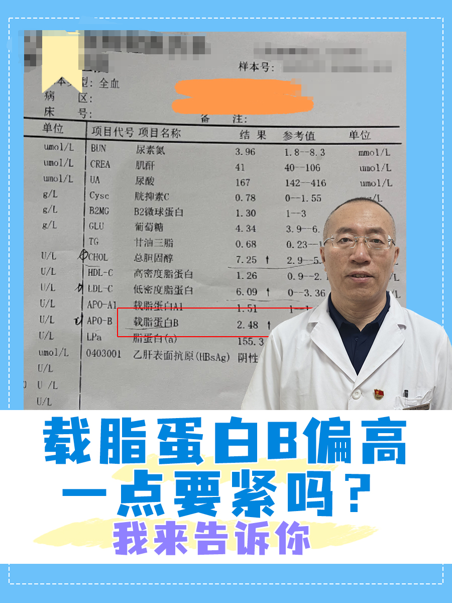 载脂蛋白b偏低的原因图片