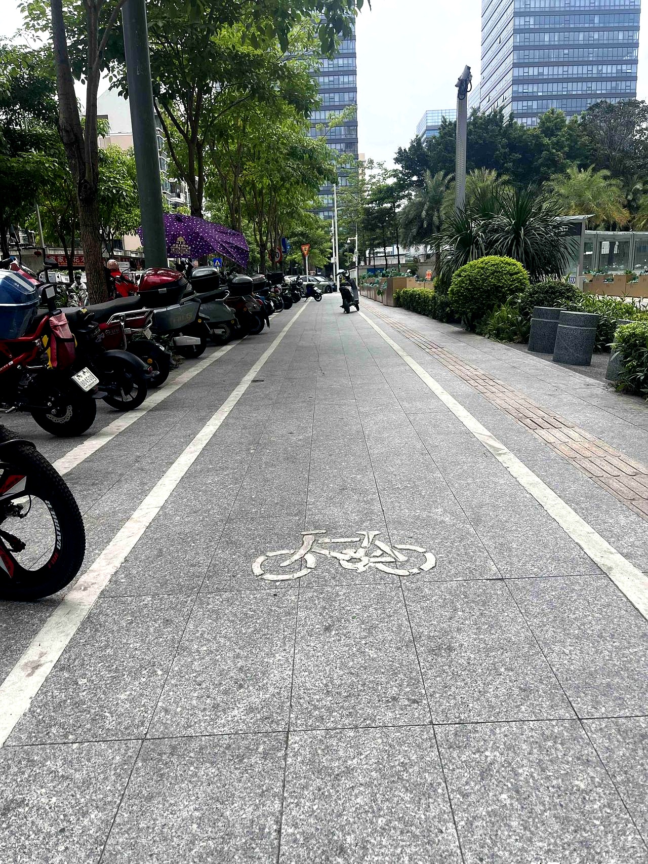 最近发现这座城市的单行车道上画了骑车标志