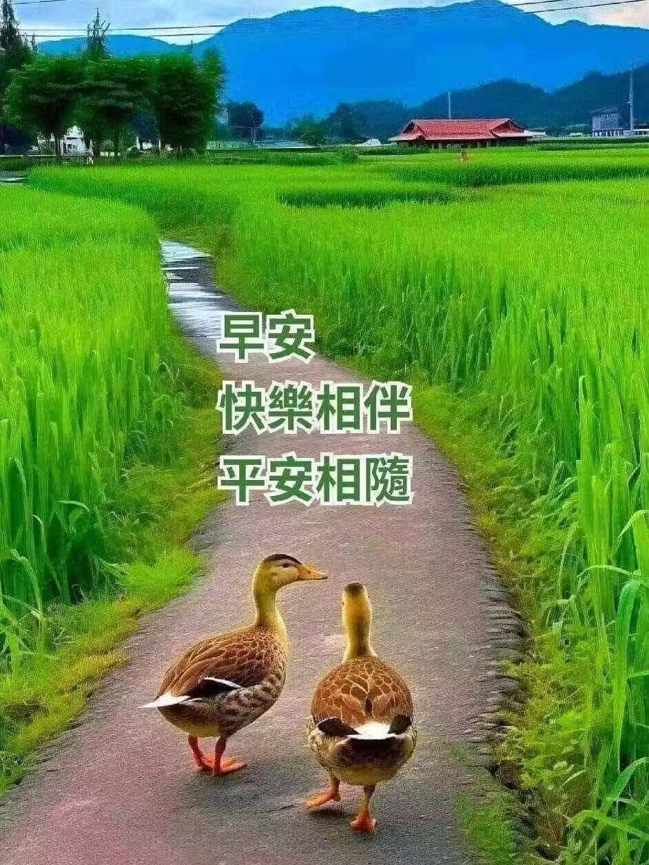正能量# #励志# #治愈# #情感共鸣# #婚姻# #早安祝福吉祥景色清晨