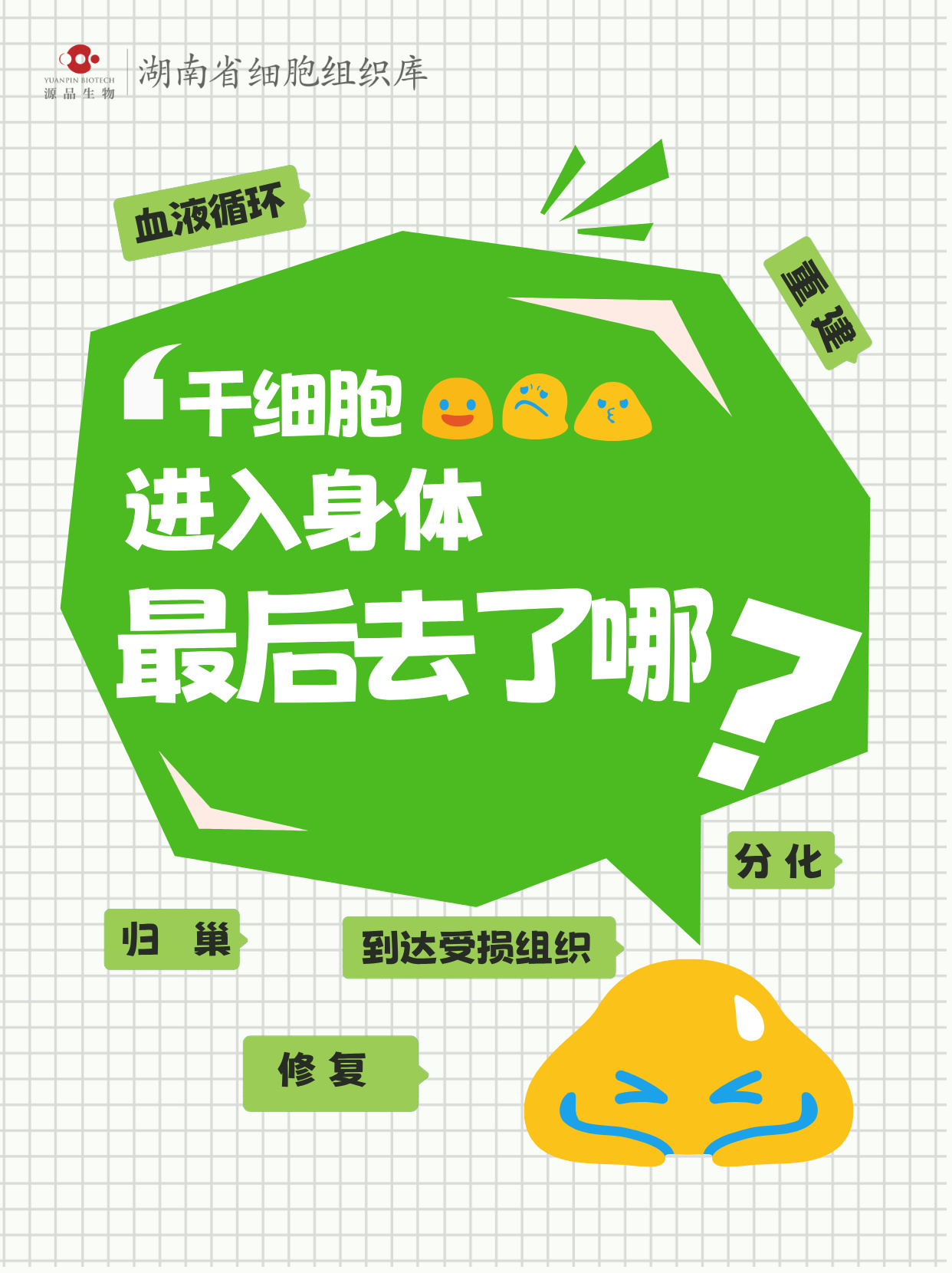 这种特性叫归巢性,是干细胞安全用于临床的关键