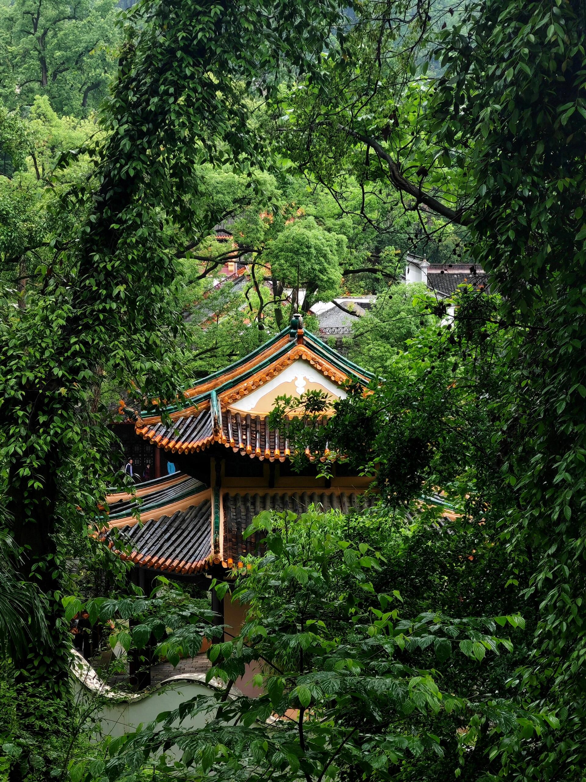 岳麓区景点图片