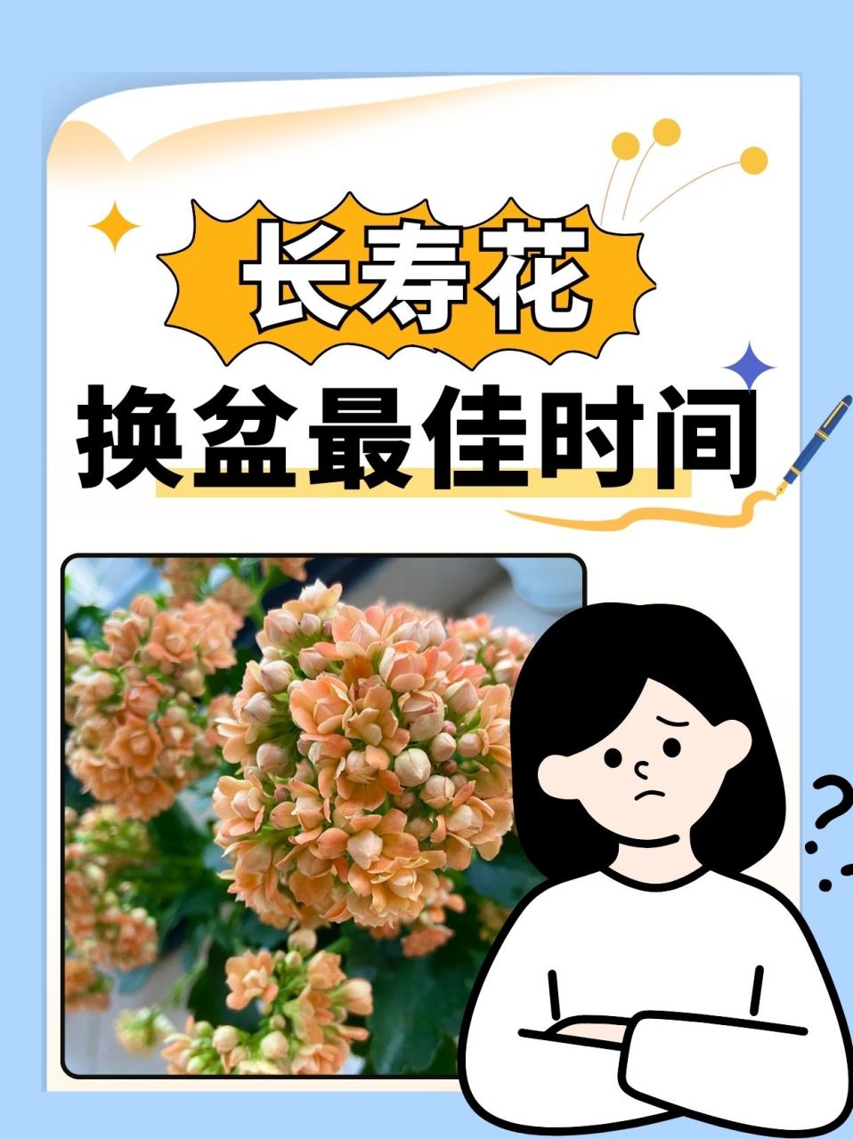 万寿花养护图片