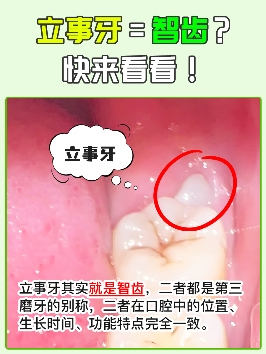 成年了为什么还会长智齿百科在线