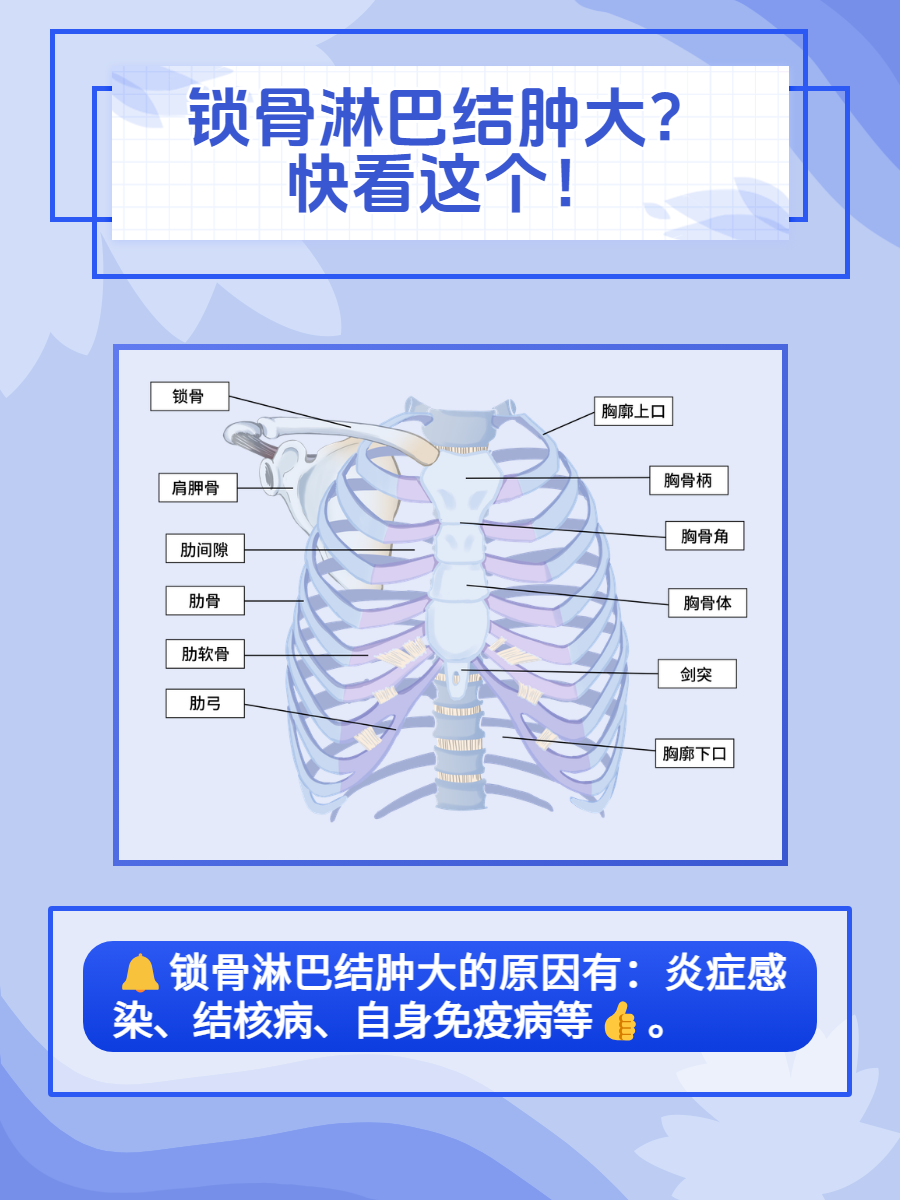 锁骨包块图片大全图片