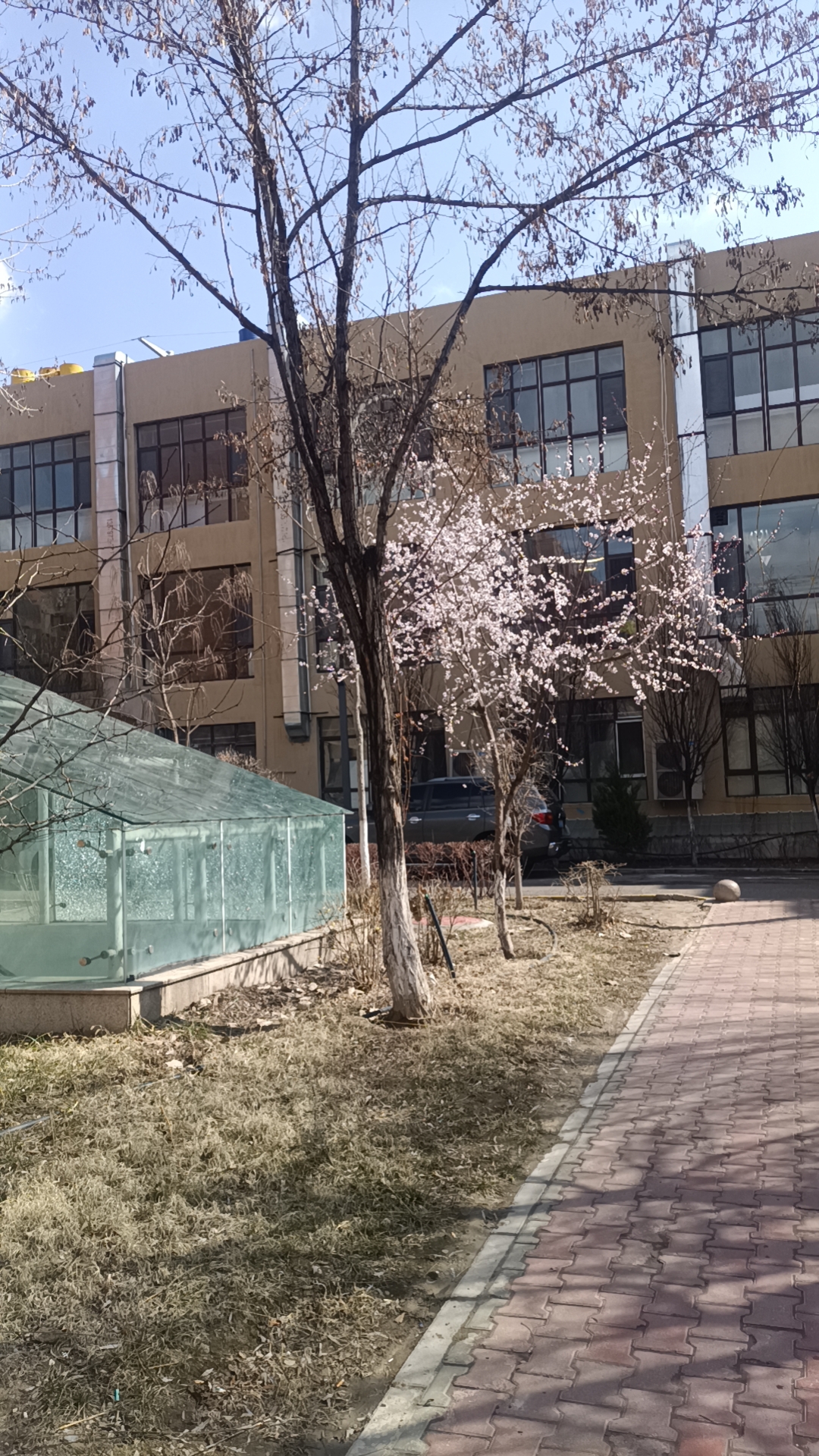 生活需努力,坚持是动力