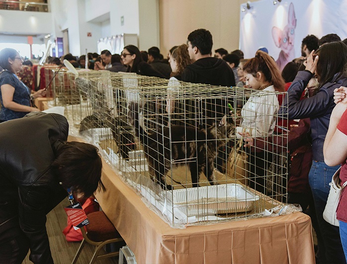 西班牙马德里宠物用品展览会 iberzoo&propet