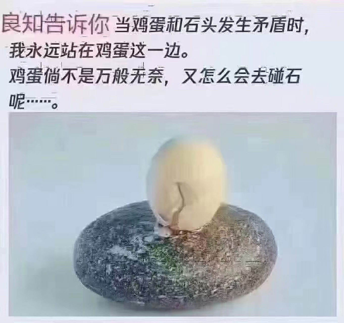 鸡蛋碰石头