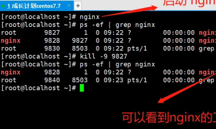linux杀死指定进程