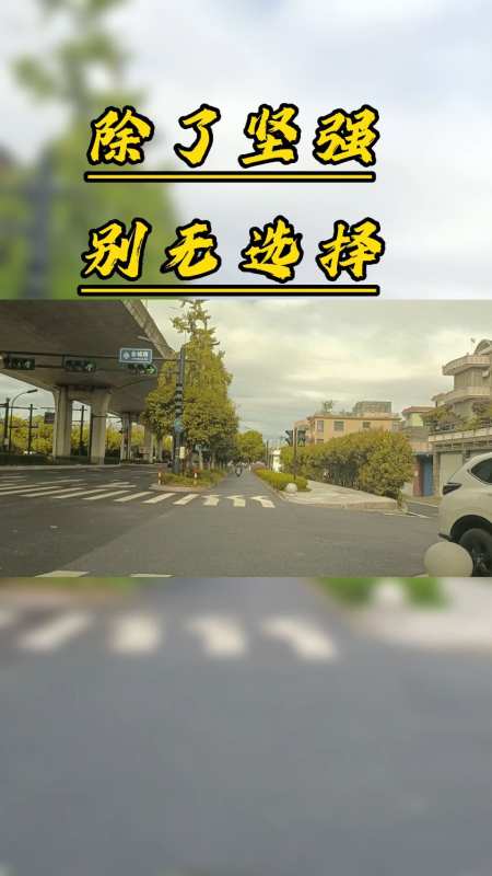 面对人生,除了坚强,别无选择-度小视