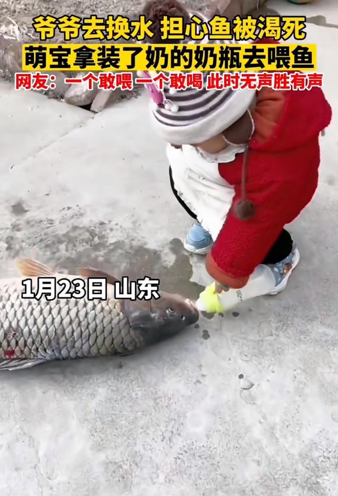 盘点那些令人发笑的图片:我都在开导你了,希望你不要恩将仇报!