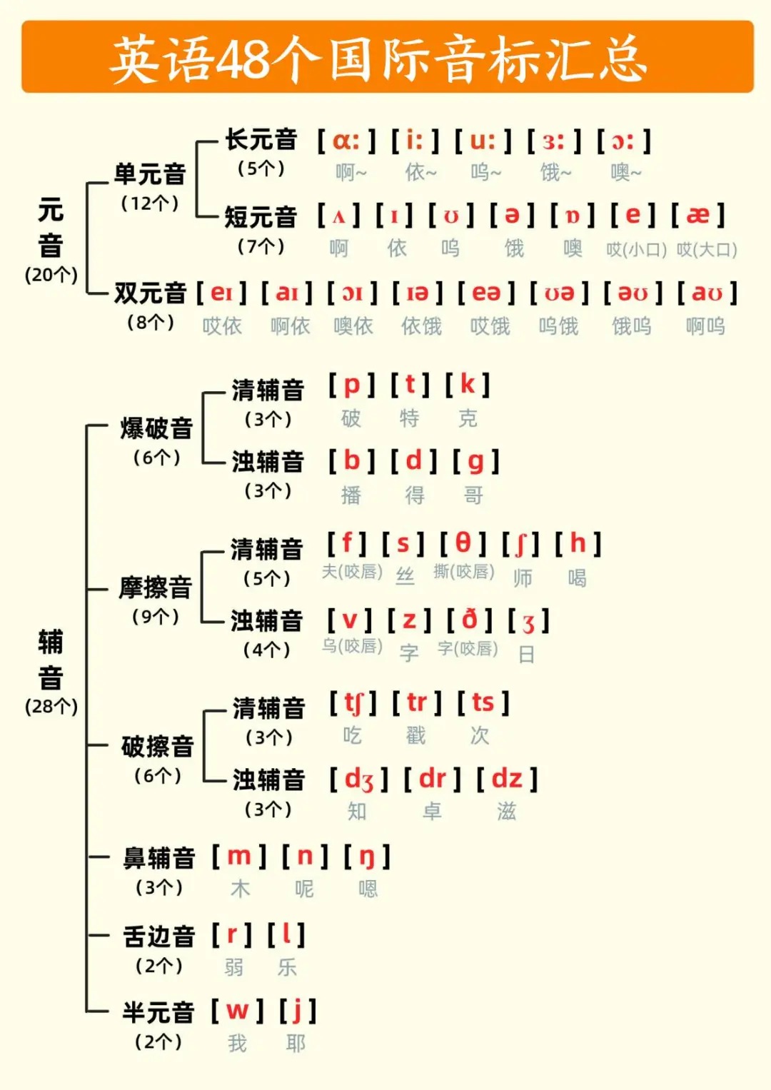 四年级英语!48国际音标汇总