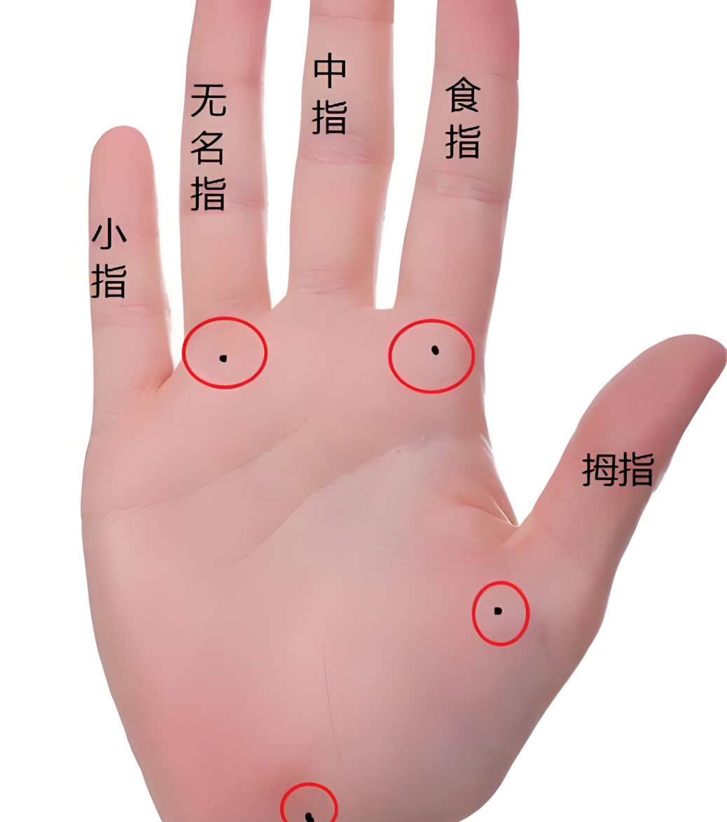手掌痣的位置决定你的权力和财富