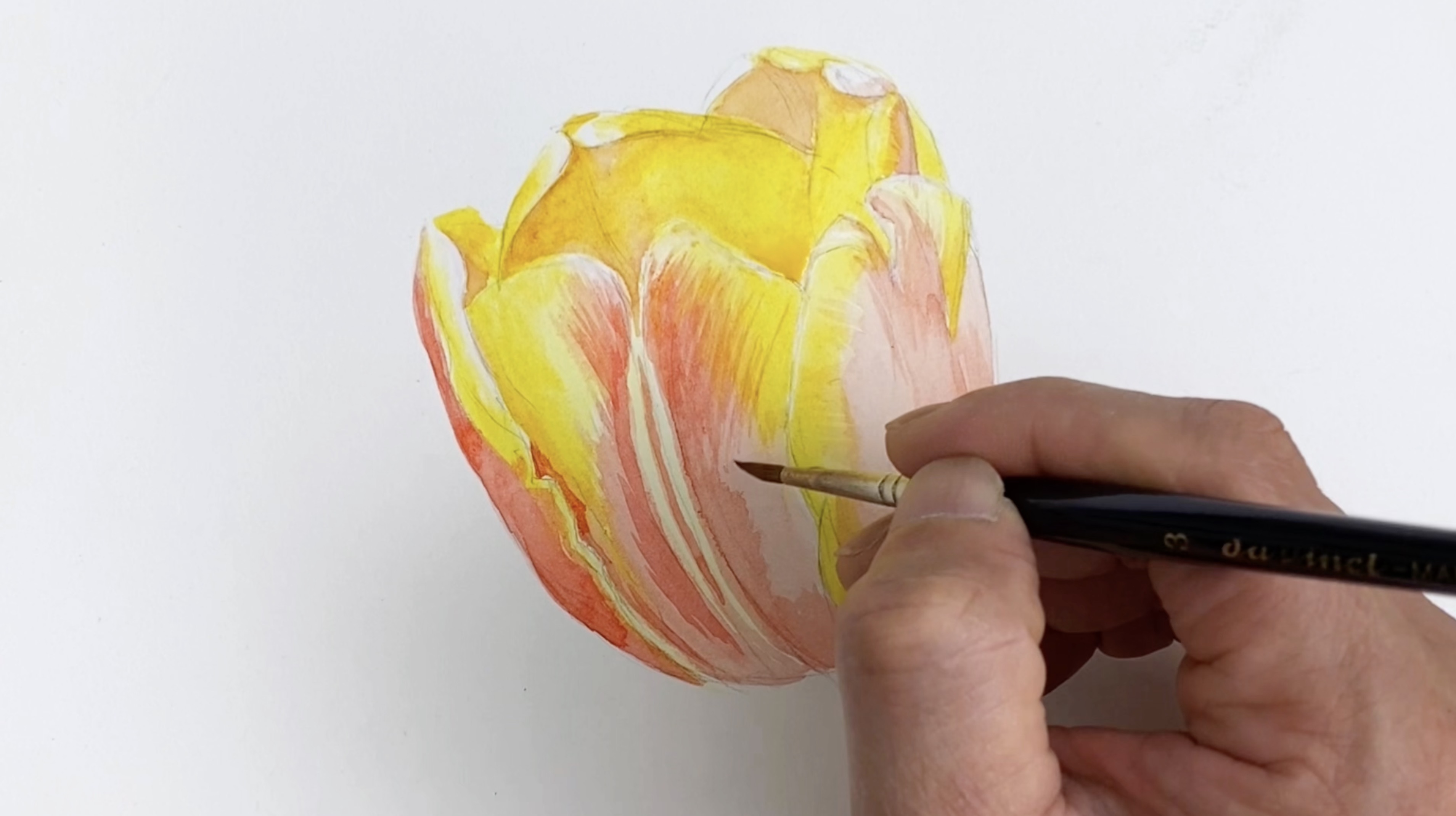 简单而重要的水彩入门技法-干画法,初学者不妨从这里入手