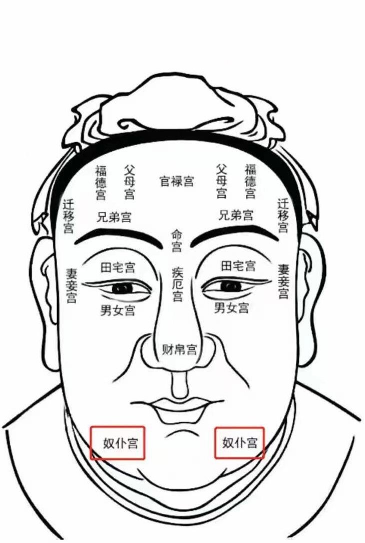《麻衣神相》:面相十二宫,奴仆宫解读