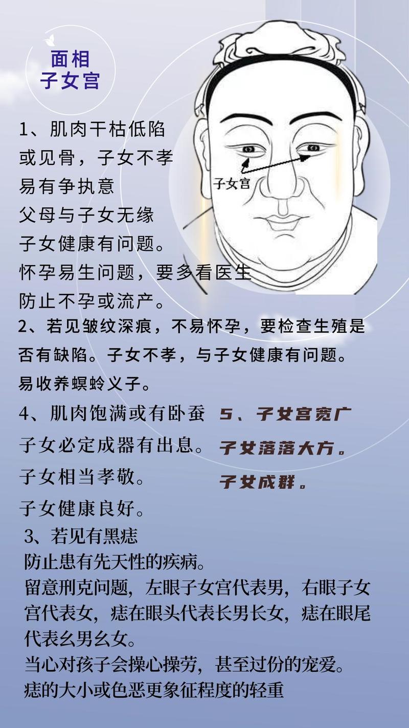 《麻衣神相》:面相十二宫,男女宫解读