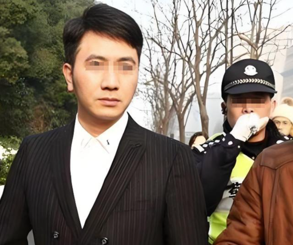 案例:杭州纵火案,莫焕晶儿子手握证据曝出内幕,揭开林生斌真面目