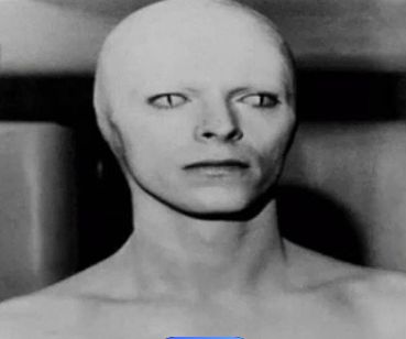 故事:美国惊现蜥蜴人?