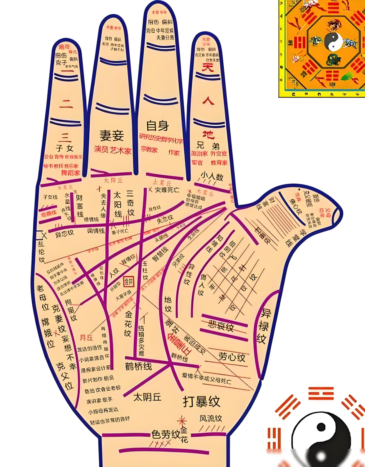 道家看手相:中指第一节有横纹,晚年容易遇见这桩事要当心