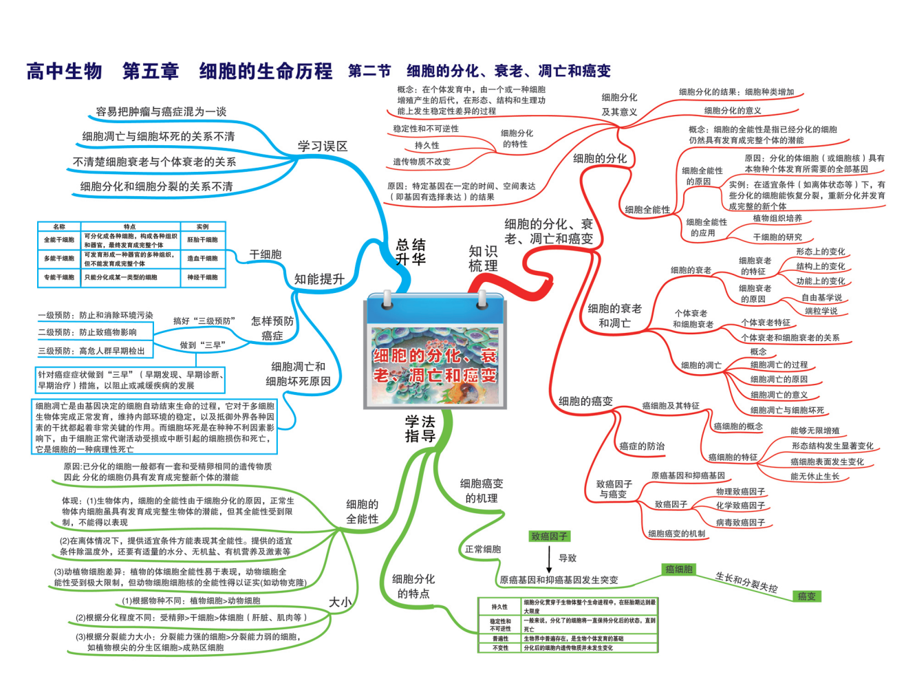 高一生物思维导图（细胞篇）(高一生物细胞的生命历程思维导图)