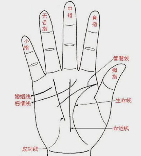 茅山道家绝学:男人手掌的官禄痣,位置竟决定仕途高低