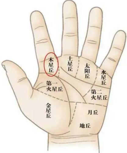 茅山道家绝学:男人手掌的官禄痣,位置竟决定仕途高低