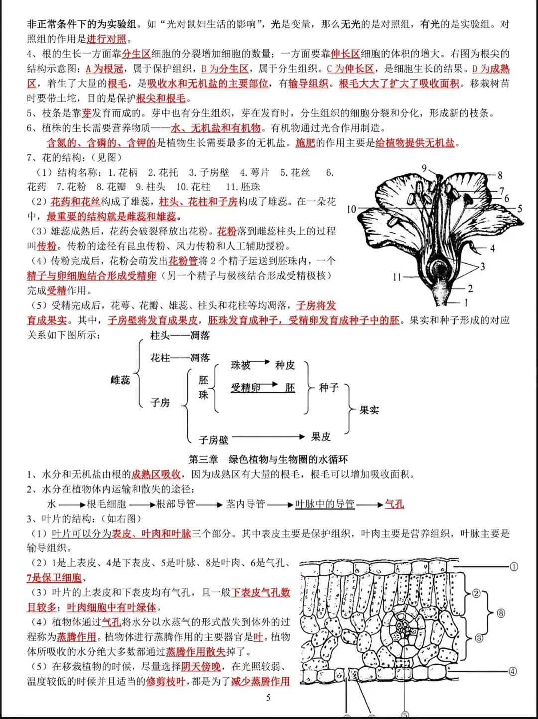 七年级生物中考  第2张 
七年级生物中考  第2张