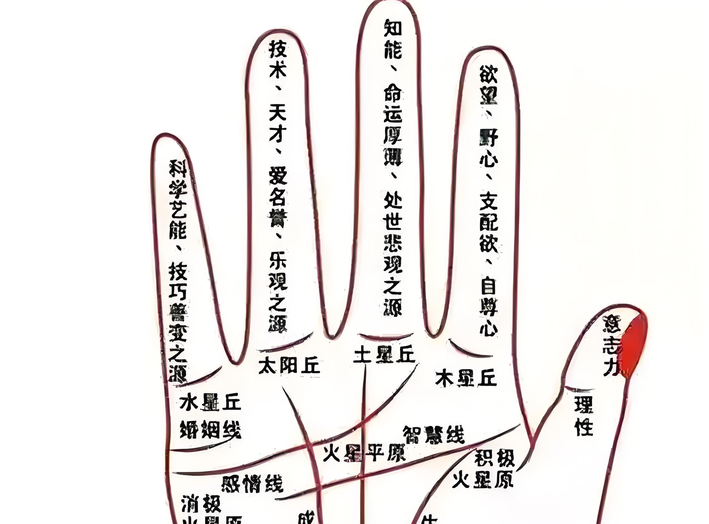 文殊菩萨:无名指比食指长者,非常人体质,注定经历4种修行考验