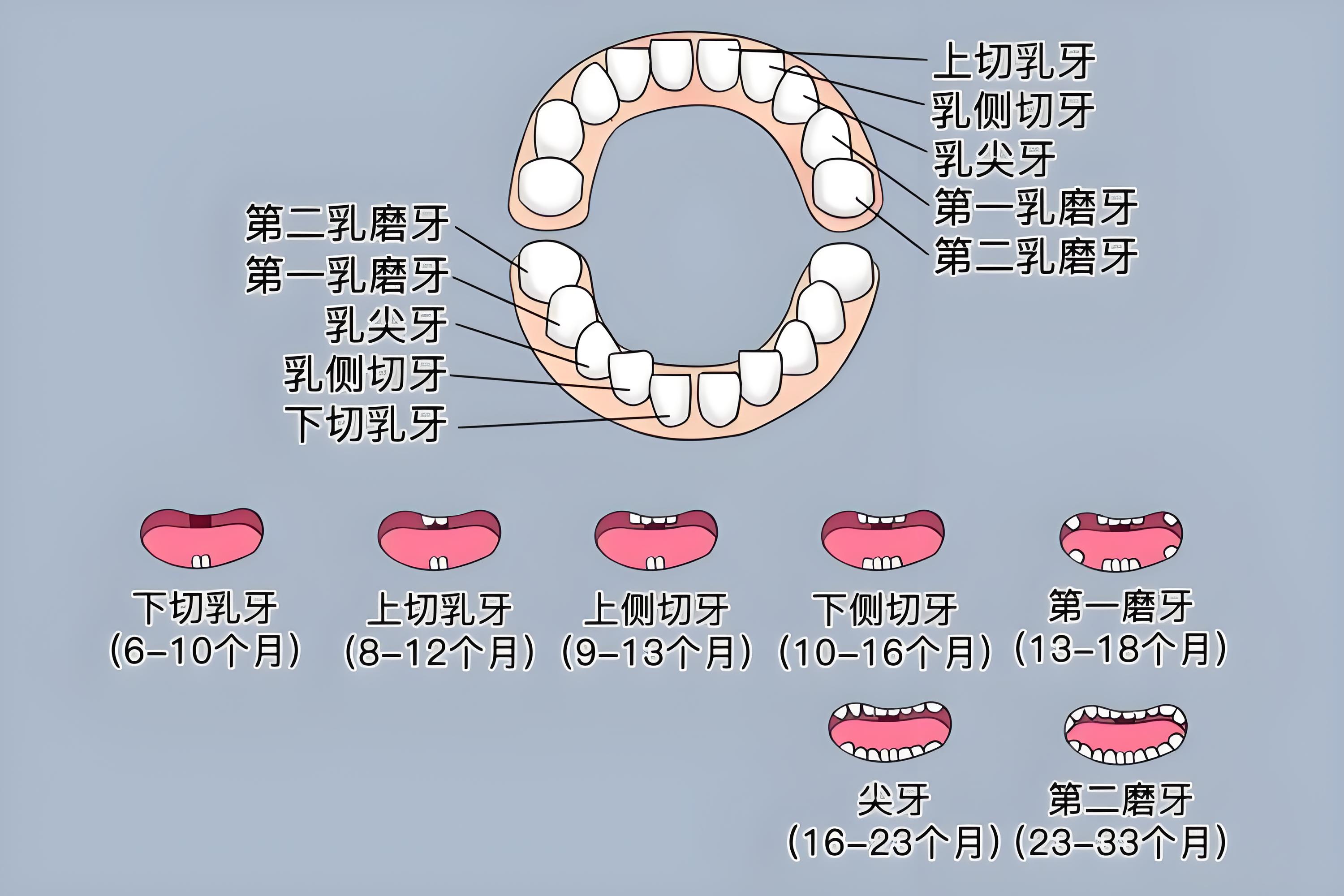 第2章 乳牙萌出期的护理要点解析