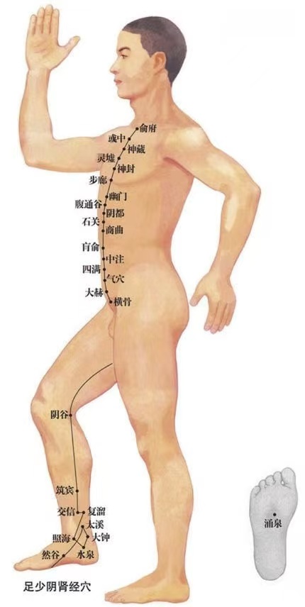 脉经"肾足少阴经病证第九"详细解读