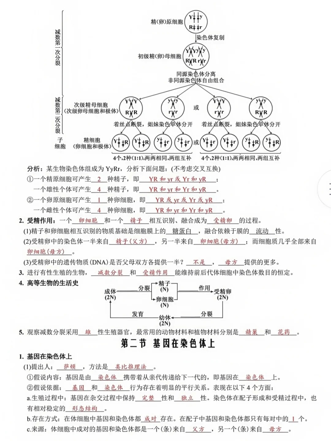 关于高一生物衔接难点（细胞/遗传）的信息