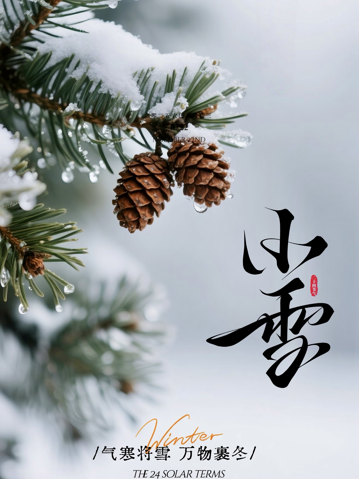 20首最经典的小雪古诗一定要收藏落雪临风白云书窗愿您今冬自在
