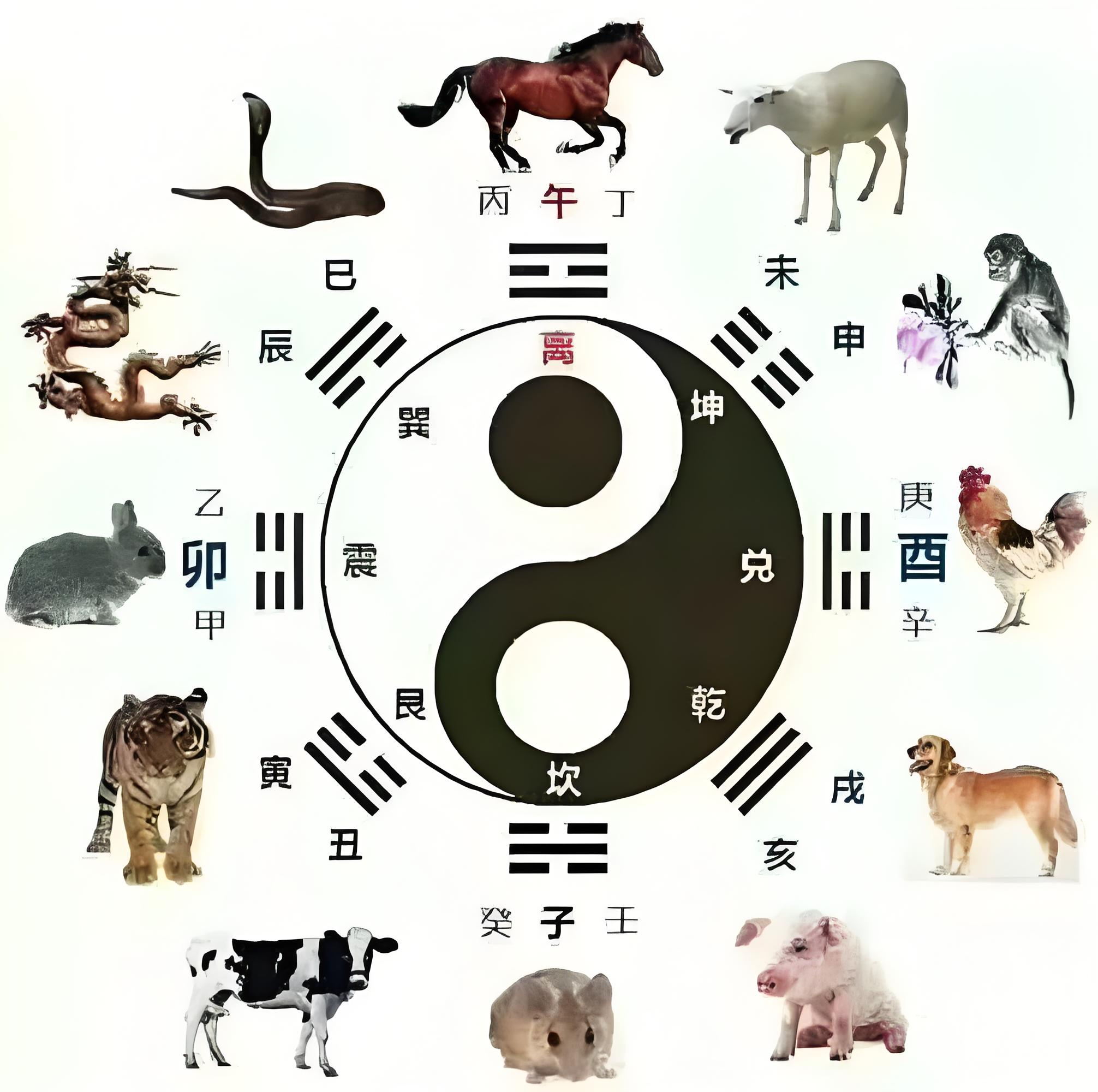 十二生肖每日凶吉运势(十二生肖每日运势查询易安居)