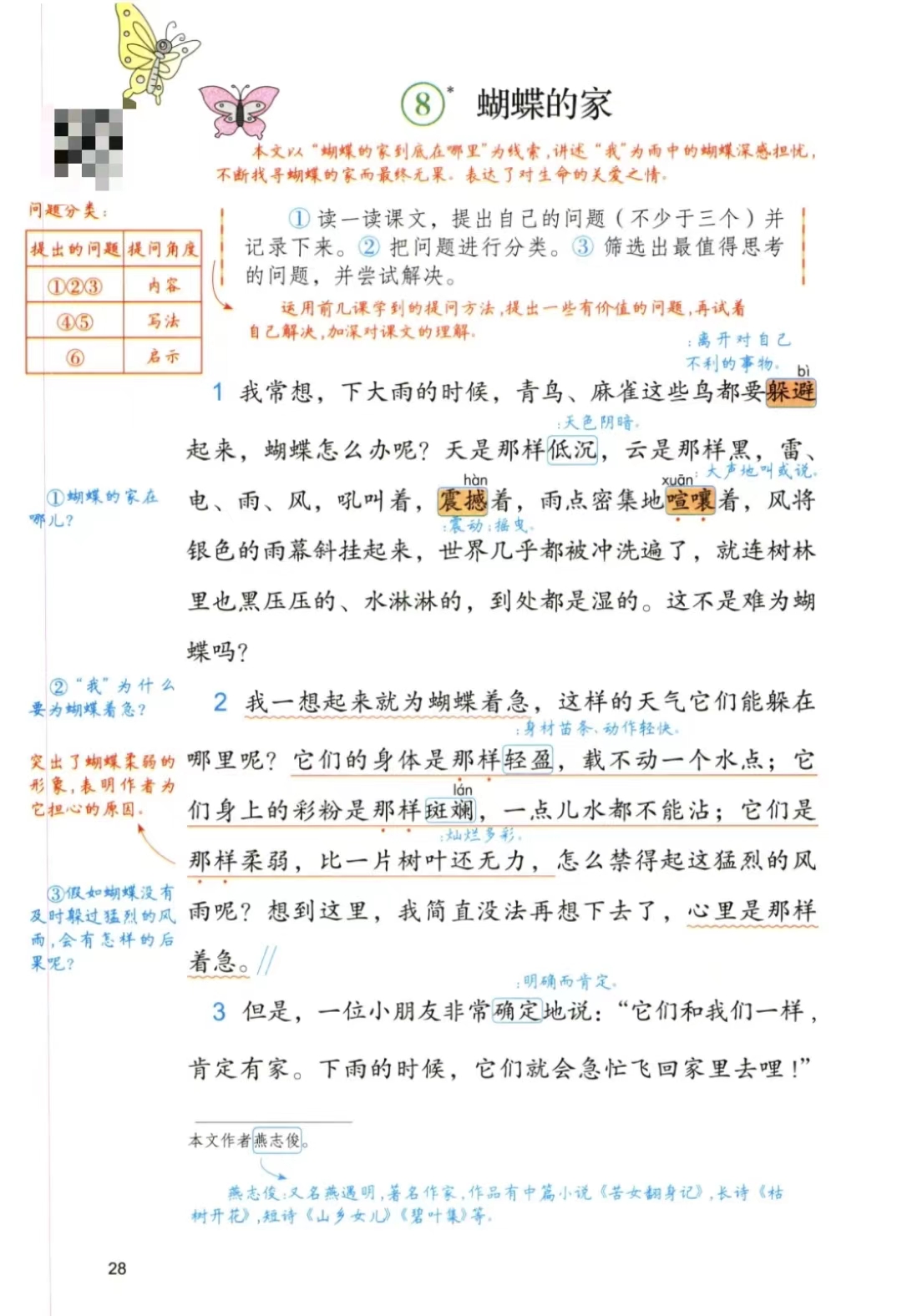 四年级上册《蝴蝶的家》课文笔记,了解蝴蝶的生活习性和生存方式