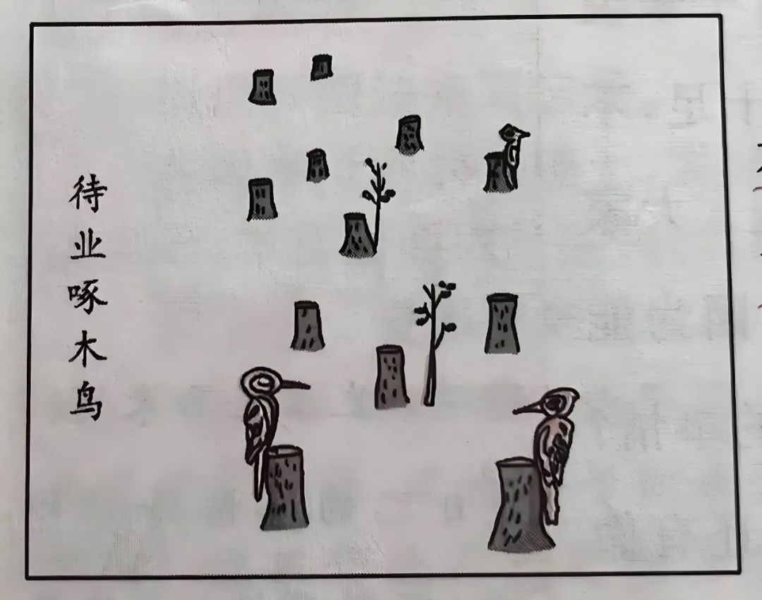 《待业啄木鸟》漫画的启示五年级作文精选