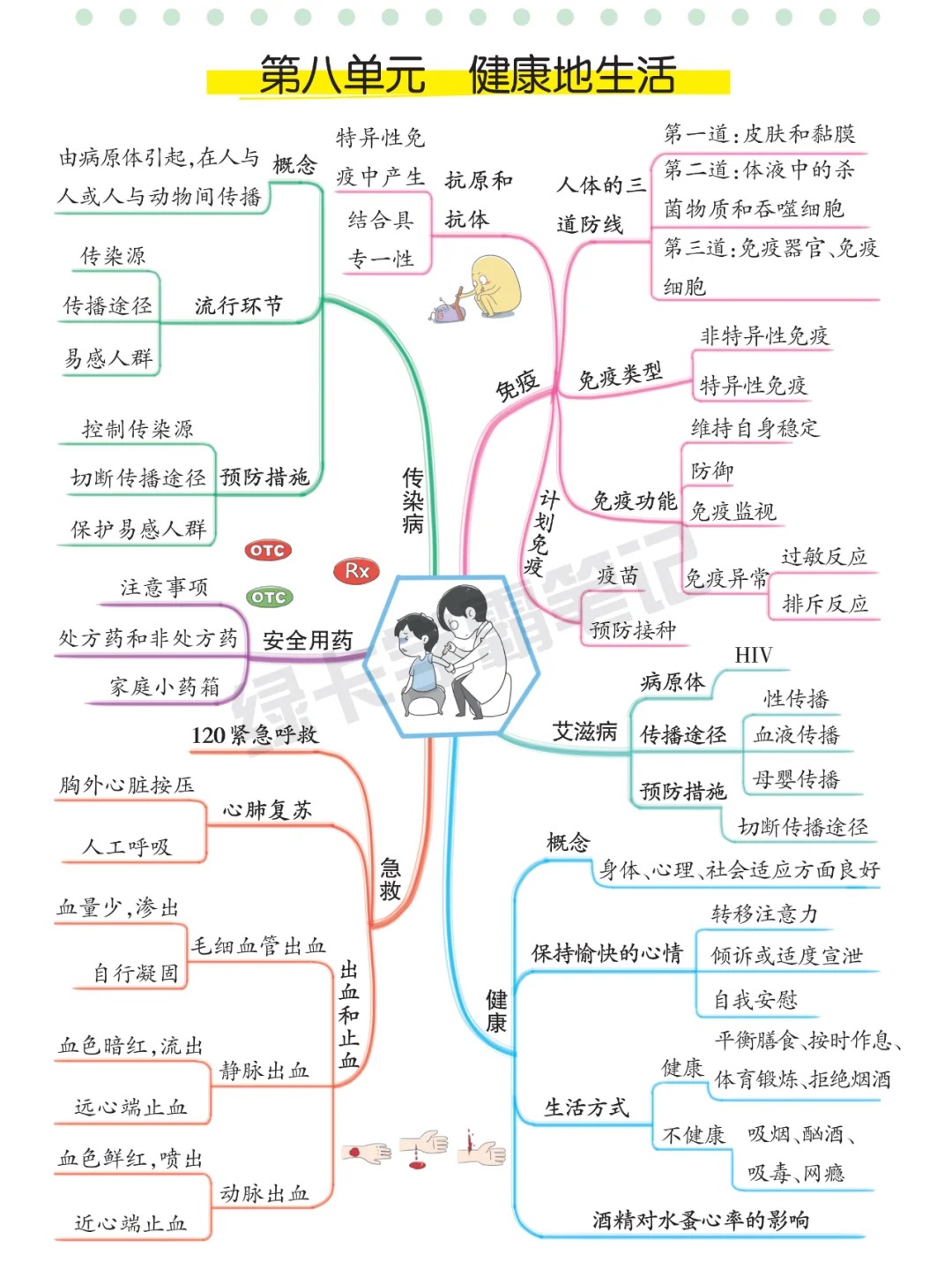 初中生物思维导图（七年级全册）的简单介绍