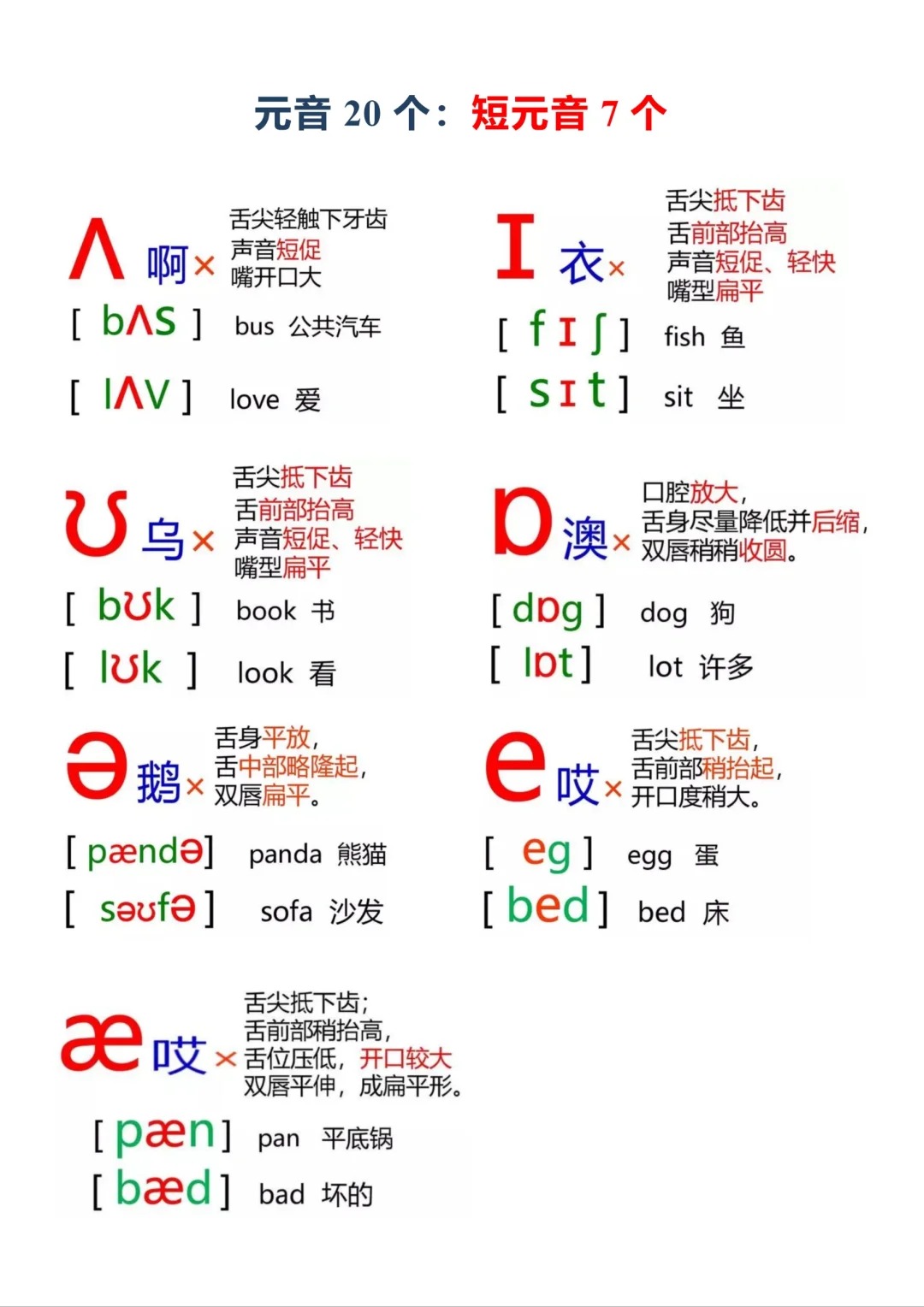 零基础必备!48个英语音标卡,轻松学会国际音标,打基础必备知识