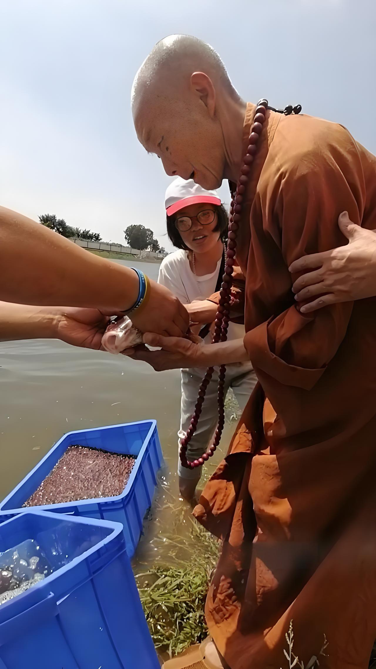 为什么放生 为什么放生